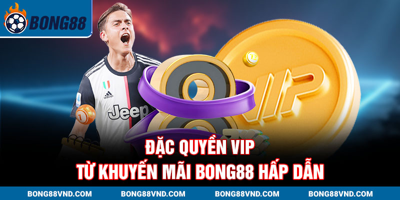 Đặc quyền VIP từ Khuyến mãi Bong88 hấp dẫn Đặc quyền VIP từ Khuyến mãi Bong88 hấp dẫn