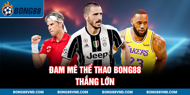 Đam mê Thể thao Bong88 – thắng lớn Đam mê Thể thao Bong88 – thắng lớn