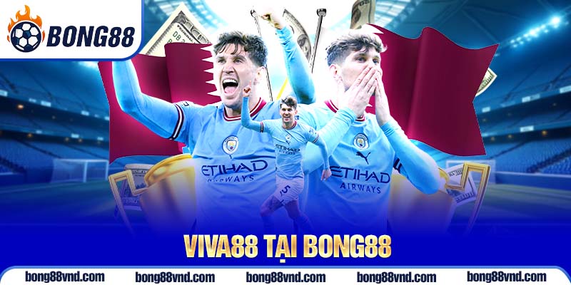 Viva88 tại Bong88